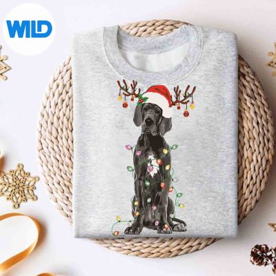 GreatDaneChristmasTreeLightsPajamaDogLoverSantaXmassweater