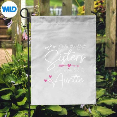 TheBestSistersGetPromotedToAuntAuntieflag