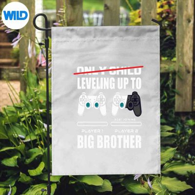 LevelingUpToBigBrotherGamingBabyAnnouncementflag