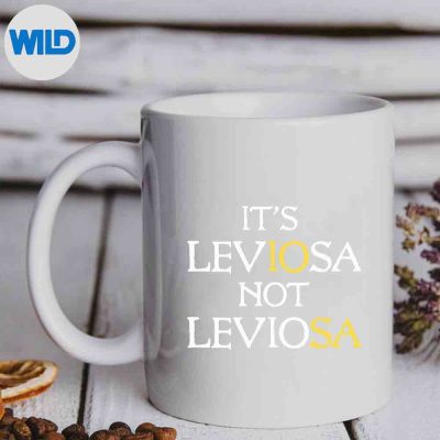 HarryPotterItsLeviosaNotLeviosamug