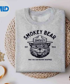 Vintage Smokey Bear Only You Can Prevent Wildfires Vector Design