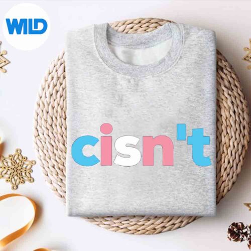 CisntTransgenderPrideSubtlePrideMonthTransexualLgbtqsweater