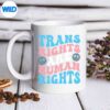GroovyTransRightsAreHumanRightsTransgenderLgbtPridemug